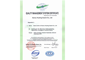 （英文）华羚营销中心质量管理体系认证证书